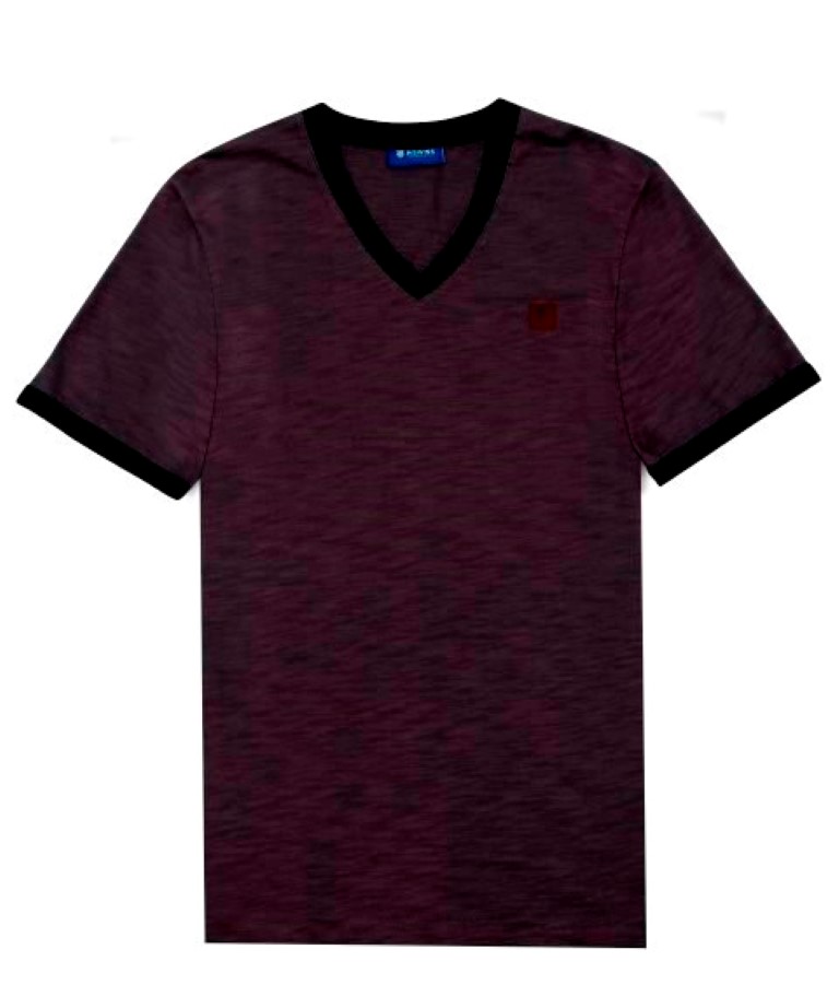  MENS V-NECK TEE