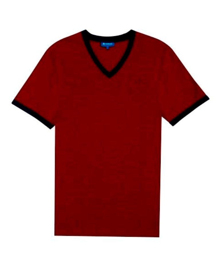  MENS V-NECK TEE